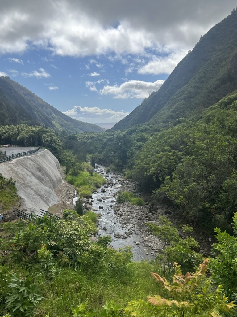 IMG_5024
